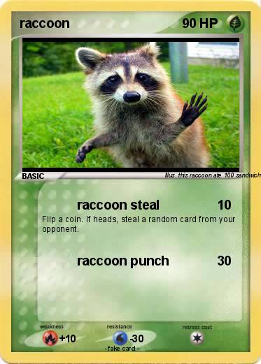 Pokemon raccoon