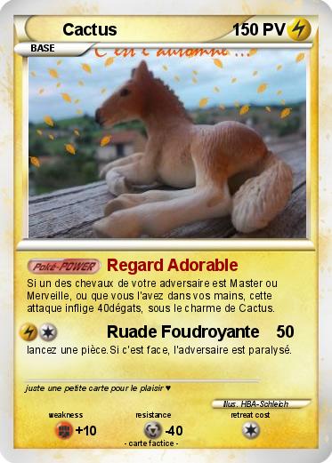 Pokemon Cactus