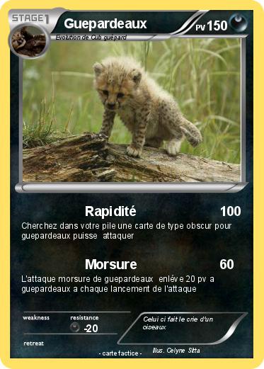 Pokemon Guepardeaux