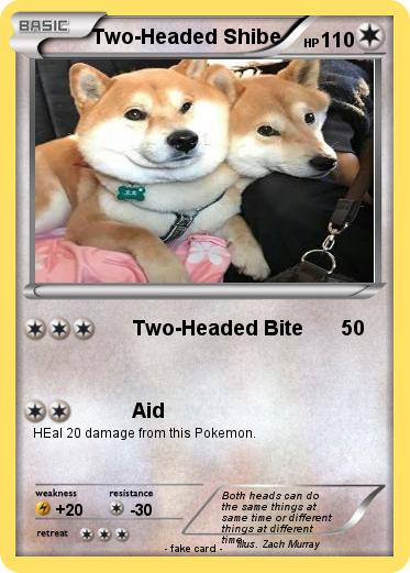 Pokemon Two-Headed Shibe