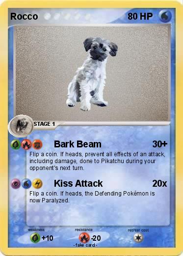 Pokemon Rocco