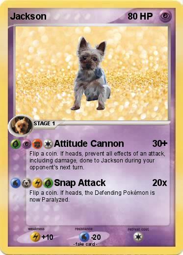 Pokemon Jackson