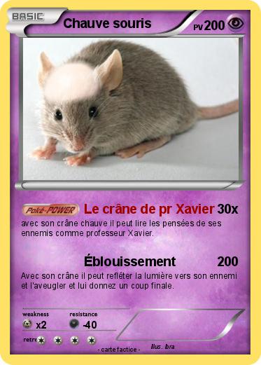 Pokemon Chauve souris