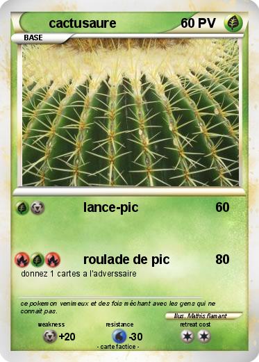Pokemon cactusaure