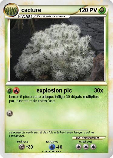 Pokemon cacture