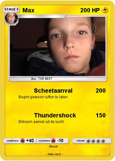 Pokemon Max