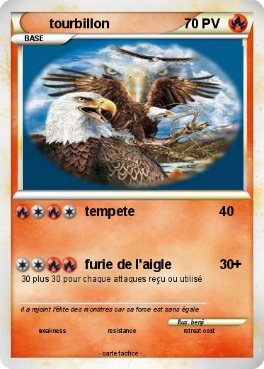 Pokemon tourbillon