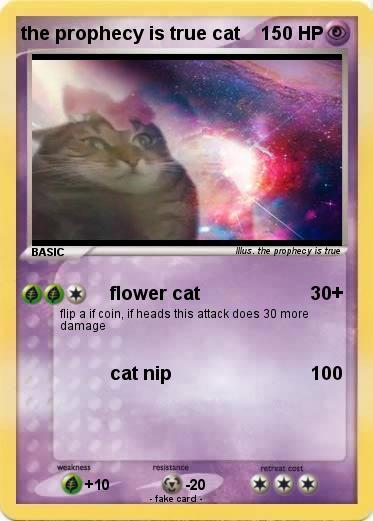 Pokemon the prophecy is true cat