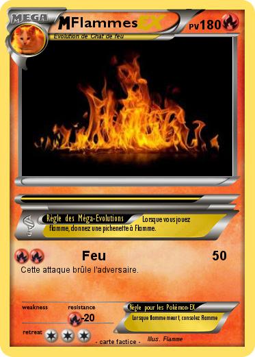 Pokemon Flammes