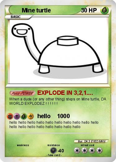 Pokemon Mine turtle