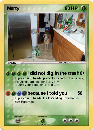 Pokemon Marty