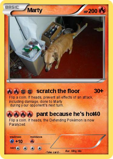 Pokemon Marty