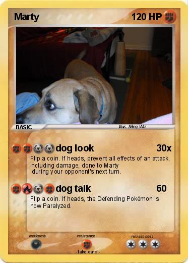 Pokemon Marty