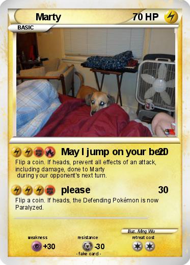 Pokemon Marty