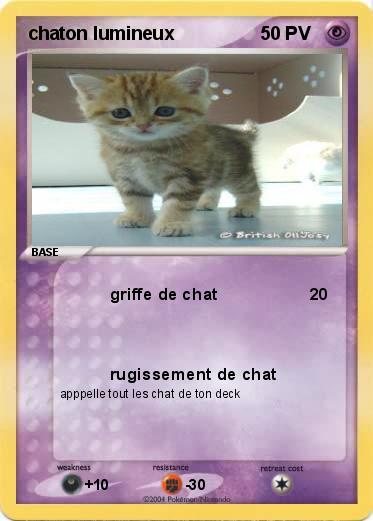 Pokemon chaton lumineux