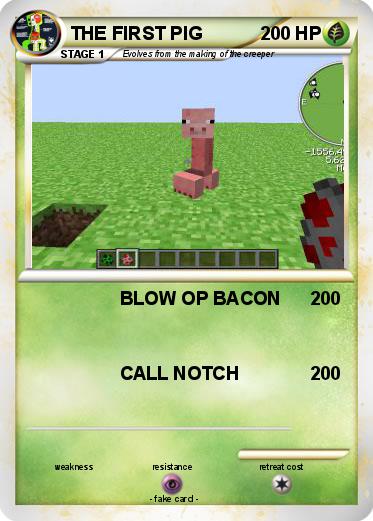 Pokemon THE FIRST PIG