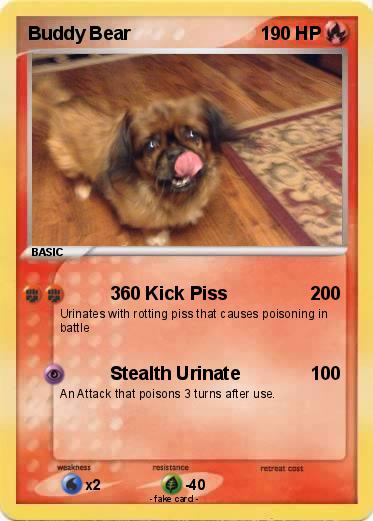 Pokemon Buddy Bear