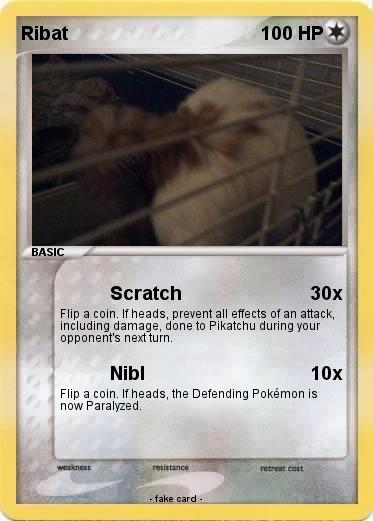 Pokemon Ribat