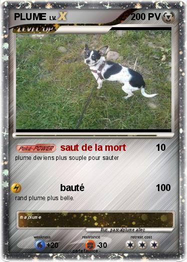 Pokemon PLUME