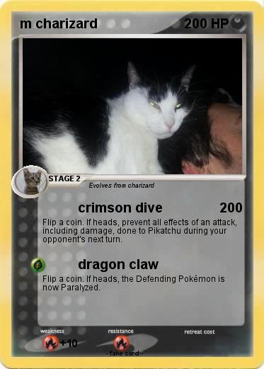 Pokemon m charizard