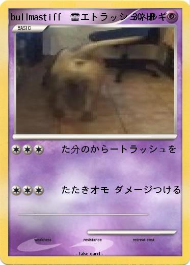 Pokemon bullmastiff  雷エトラッシュネルギ