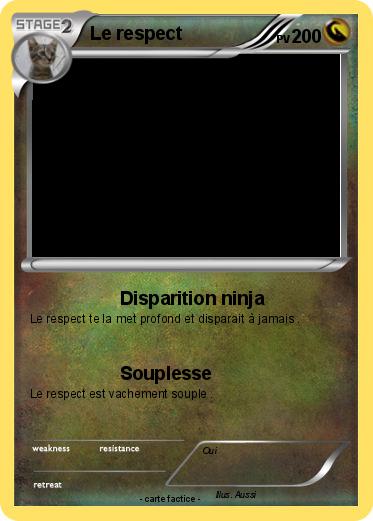 Pokemon Le respect
