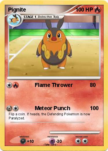Pokemon Pignite