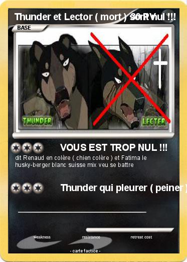 Pokemon Thunder et Lector ( mort ) sont nul !!!
