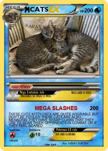 Pokemon CATS