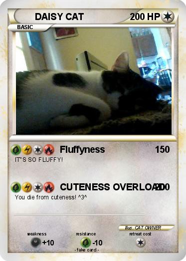 Pokemon DAISY CAT