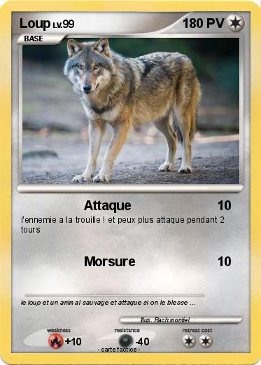 Pokemon Loup