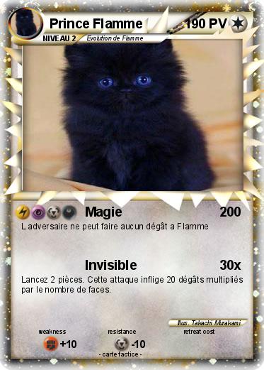 Pokemon Prince Flamme