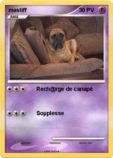 Pokemon mastiff