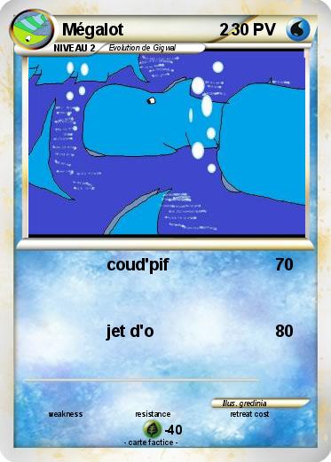 Pokemon Mégalot                     2