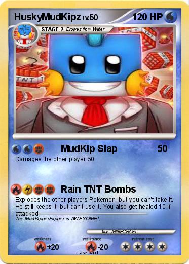 Pokemon HuskyMudKipz