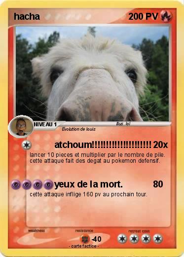 Pokemon hacha
