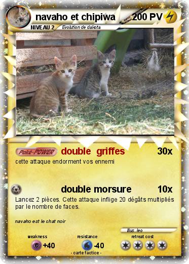 Pokemon navaho et chipiwa