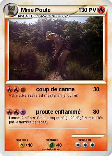 Pokemon Mme Poute