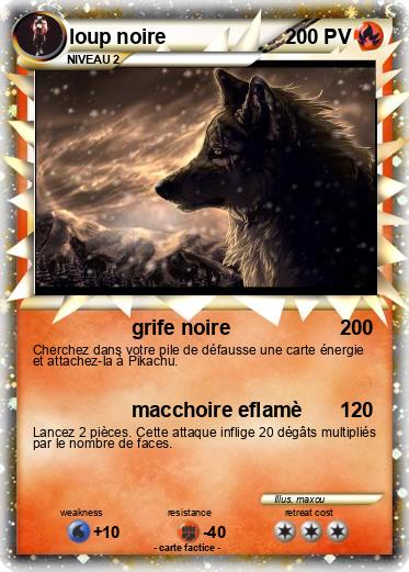 Pokemon loup noire