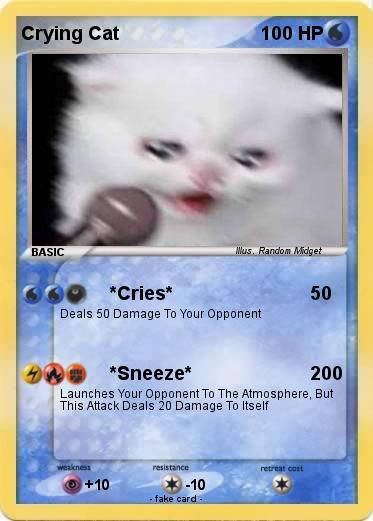 Pokemon Crying Cat