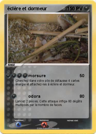 Pokemon éclère et dormeur