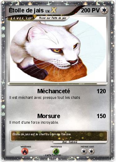 Pokemon Étoile de jais