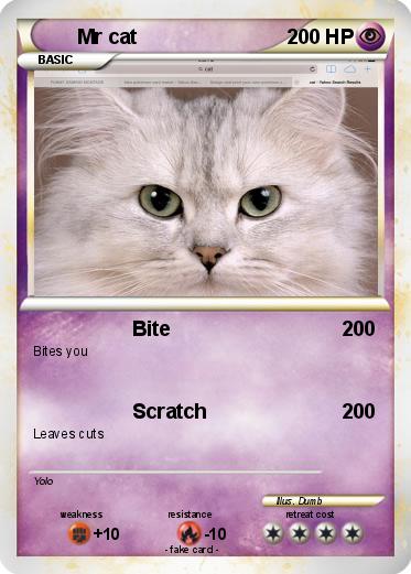 Pokemon Mr cat