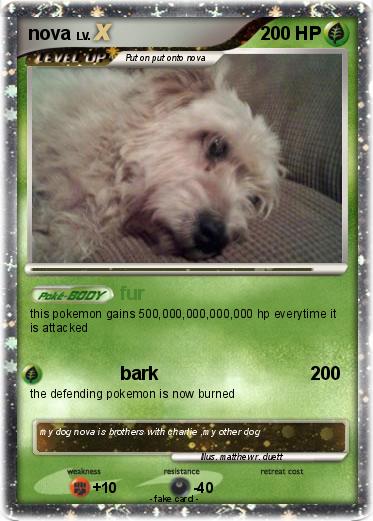 Pokemon nova