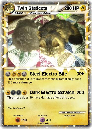 Pokemon Twin Staticats