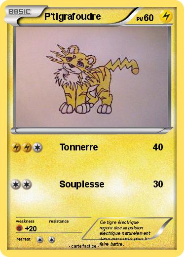 Pokemon P'tigrafoudre