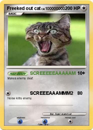 Pokemon Freeked out cat