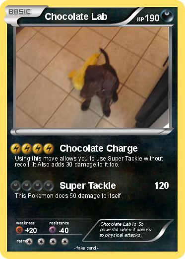 Pokemon Chocolate Lab