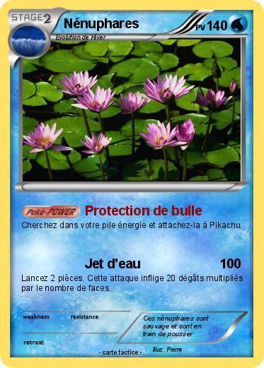 Pokemon Nénuphares