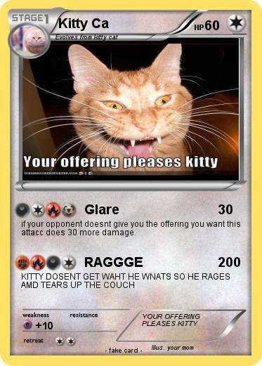 Pokemon Kitty Ca